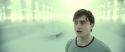 RdM2-Potterish_10559.jpg