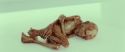RdM2-Potterish_10598.jpg