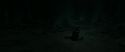 RdM2-Potterish_11169.jpg