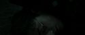 RdM2-Potterish_11198.jpg