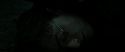RdM2-Potterish_11199.jpg