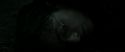 RdM2-Potterish_11200.jpg