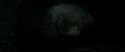 RdM2-Potterish_11202.jpg