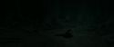 RdM2-Potterish_11213.jpg