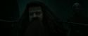 RdM2-Potterish_11214.jpg