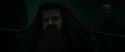 RdM2-Potterish_11218.jpg