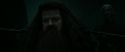 RdM2-Potterish_11220.jpg