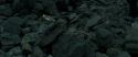 RdM2-Potterish_11248.jpg