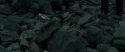 RdM2-Potterish_11249.jpg