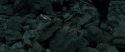 RdM2-Potterish_11252.jpg