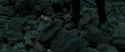 RdM2-Potterish_11253.jpg