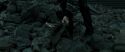 RdM2-Potterish_11258.jpg