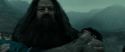 RdM2-Potterish_11327.jpg
