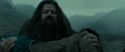 RdM2-Potterish_11330.jpg
