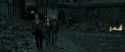 RdM2-Potterish_11419.jpg