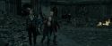RdM2-Potterish_11435.jpg