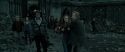 RdM2-Potterish_11447.jpg