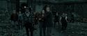 RdM2-Potterish_11450.jpg