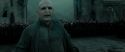 RdM2-Potterish_11452.jpg