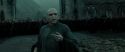 RdM2-Potterish_11467.jpg