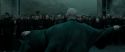 RdM2-Potterish_11497.jpg