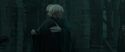 RdM2-Potterish_11605.jpg