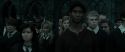 RdM2-Potterish_11615.jpg