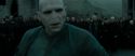RdM2-Potterish_11664.jpg