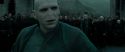 RdM2-Potterish_11665.jpg