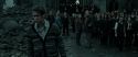 RdM2-Potterish_11673.jpg