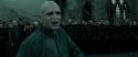 RdM2-Potterish_11690.jpg