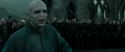 RdM2-Potterish_11691.jpg
