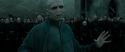 RdM2-Potterish_11704.jpg