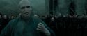 RdM2-Potterish_11706.jpg