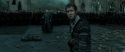 RdM2-Potterish_11772.jpg