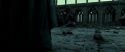 RdM2-Potterish_11831.jpg