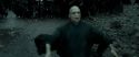 RdM2-Potterish_11886.jpg