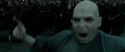 RdM2-Potterish_11893.jpg