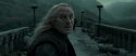 RdM2-Potterish_11902.jpg