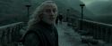 RdM2-Potterish_11903.jpg