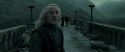 RdM2-Potterish_11904.jpg