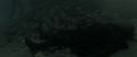 RdM2-Potterish_11912.jpg