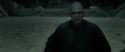 RdM2-Potterish_11965.jpg