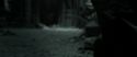 RdM2-Potterish_11972.jpg