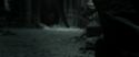 RdM2-Potterish_11973.jpg