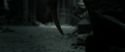 RdM2-Potterish_11974.jpg
