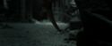 RdM2-Potterish_11975.jpg
