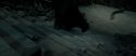RdM2-Potterish_12005.jpg