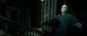 RdM2-Potterish_12008.jpg