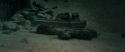 RdM2-Potterish_12030.jpg